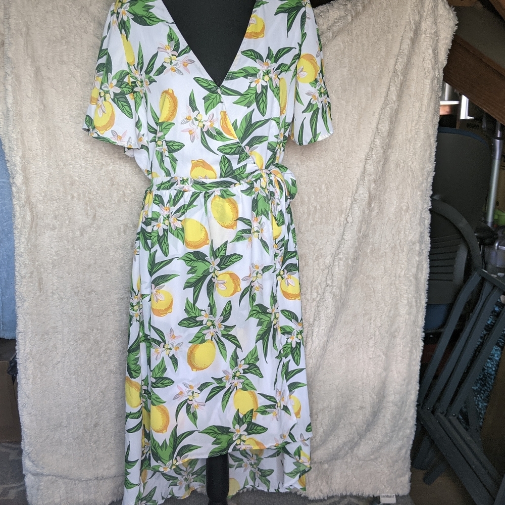 NWT high low summer dress